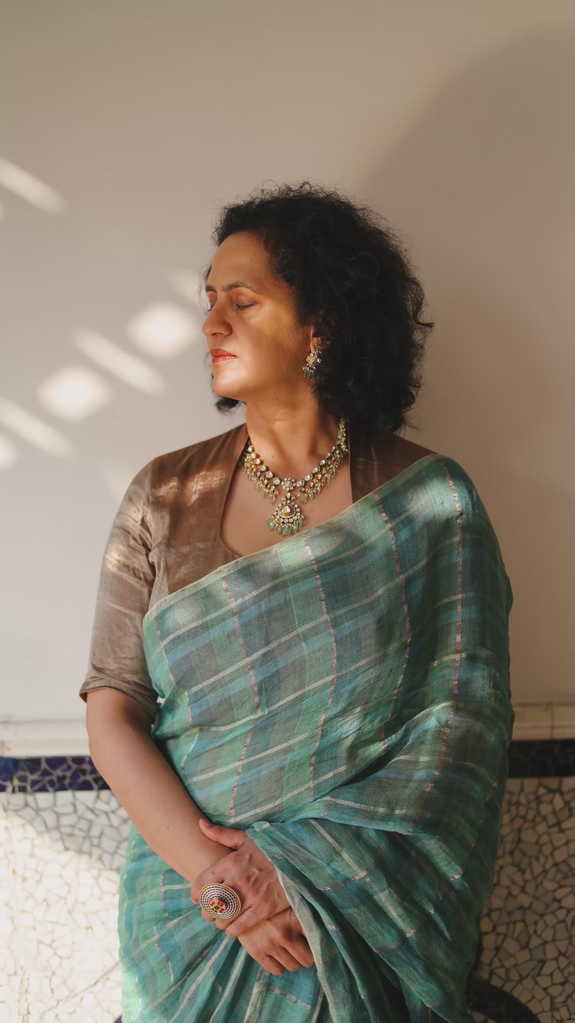 Multi Check saree - 3